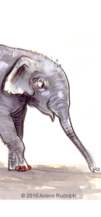 Tuffi - eine elefantastische Geschichte